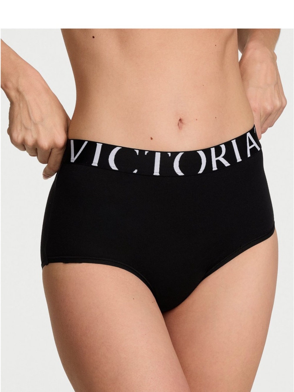 NWT Victoria's Secret Exploded Logo Cotton Modern Brief Panty.